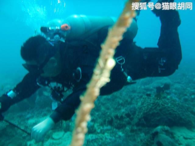 迪士尼魔法学校